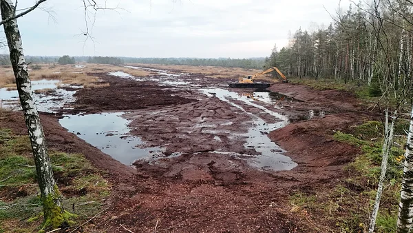 Ujuvkopp suurel tasandusalal. Foto: Mati Kass
