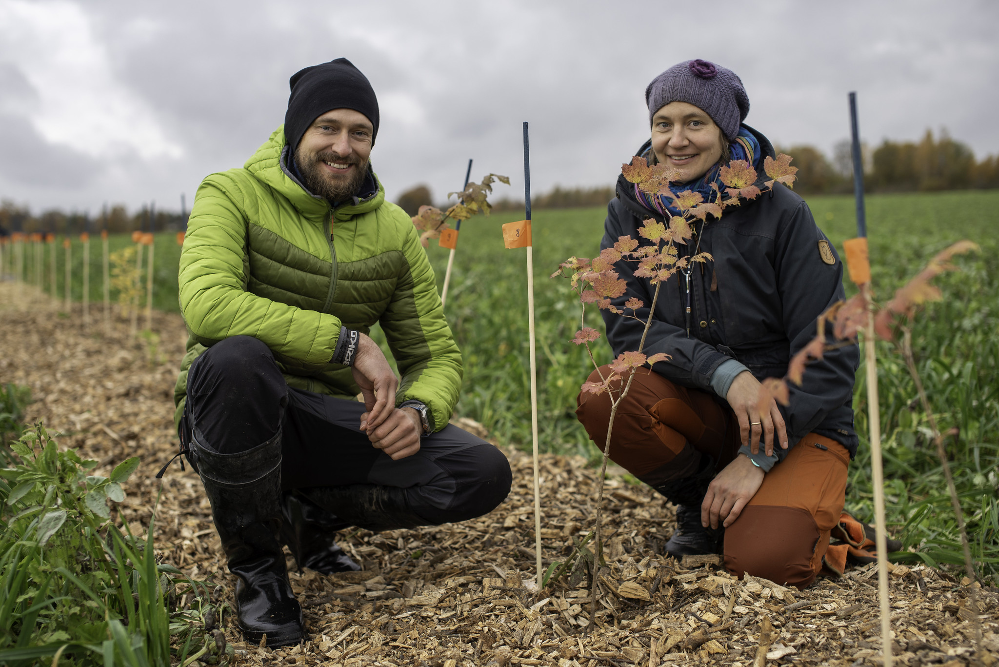 Marian Nummert ja Sander Hiire enda talumaadel põllule istutatud hekirea kõrval. Foto: Kaidi Tingas