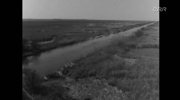 Klõpsa pildil, et näha 1969. aasta ERR arhiivimaterjale Matsalu looduskaitsealast