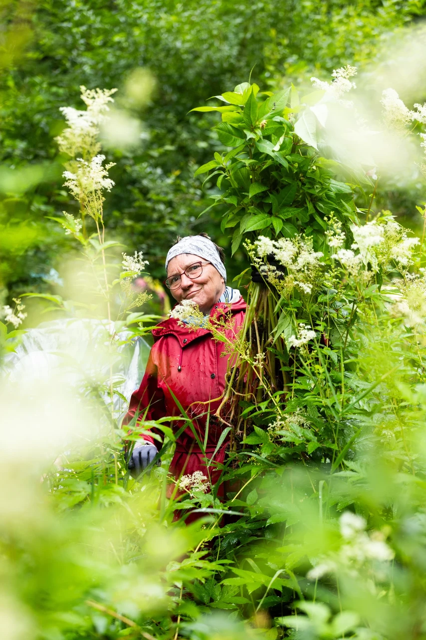 Läbi aastate üks hinnatumaid ja aktiivsemaid talgulisi Maie Matiek, kes sel aastal tänuüritusel sai esimese talguhalja tiitli. Selle pildi Maiest tegi Maris Otepää vereva lemmmaltsa tõrje talgutel