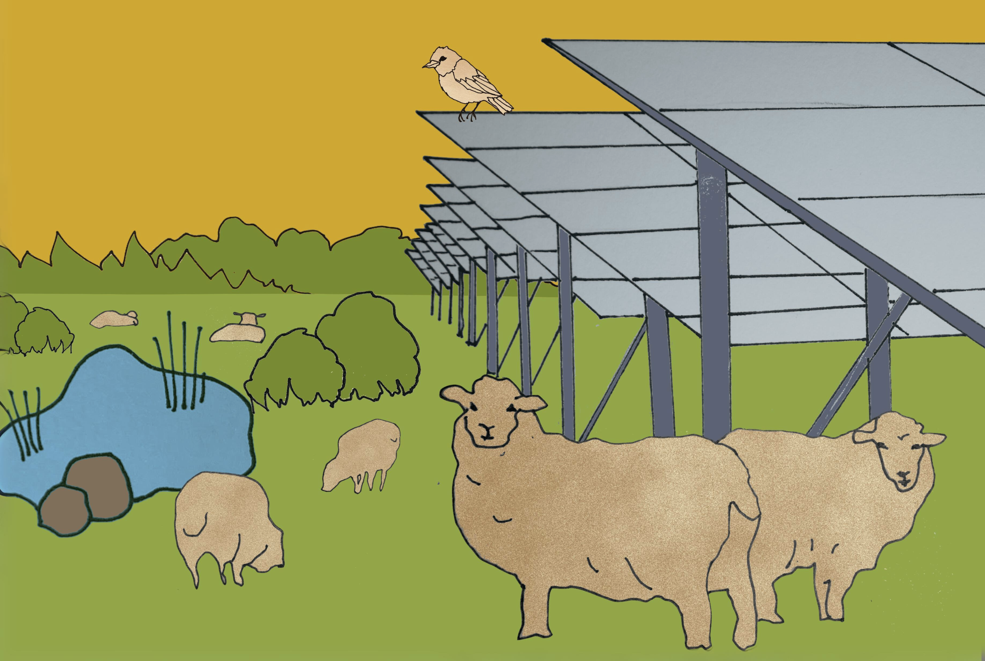 Plan4Climate: pikemate sammudega kliimalahenduste suunas