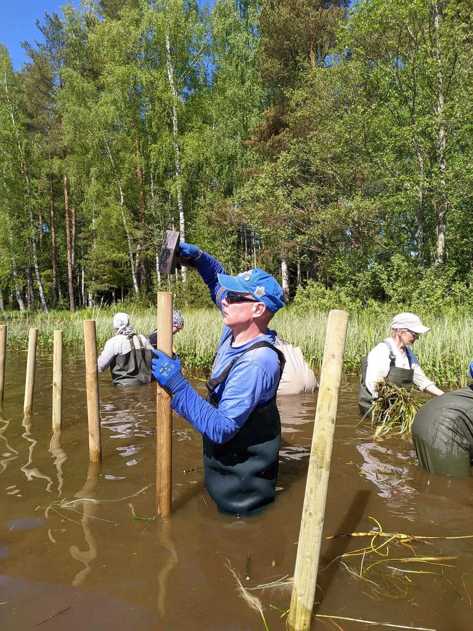 Ujuva jõgitakkja talgud Tsolgo Pikkjärves, pildistas Triin