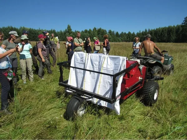 Kui seemned on piisavalt valminud, näeme Vārpurves talu rohumaadel seemnte kogumist.