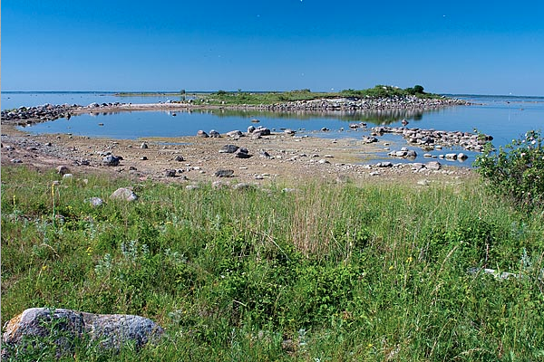 Hinnang: Saaremaa püsiühenduse mõju loodusele