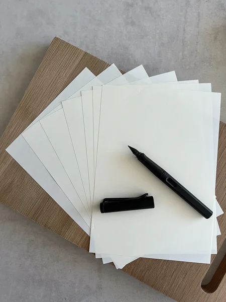 Jaapani kirjapaber Tomoe River (A4 või A5), 10 lk