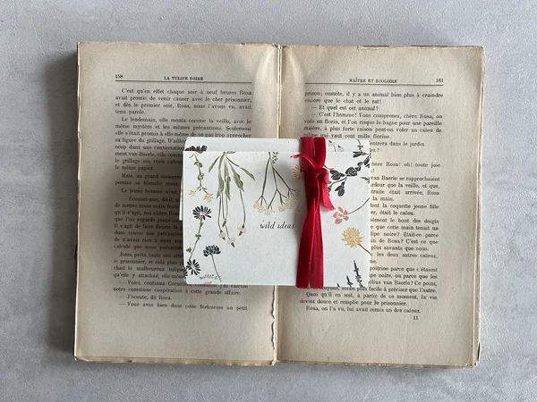 wild notes: set of 3 simple notebooks