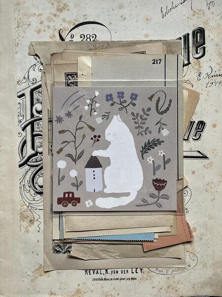 postcard Playground, Ivy Snow