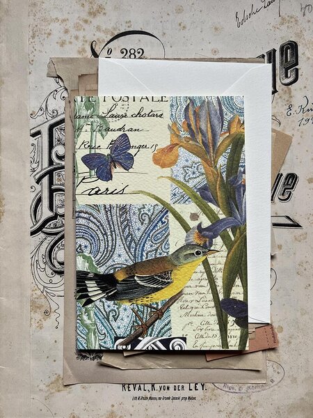 postkaart ja ümbrik Iiris