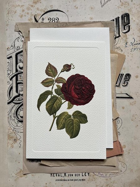 postkaart ja ümbrik Roos