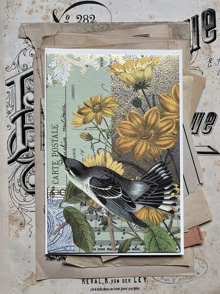 postkaart ja ümbrik Karikakar