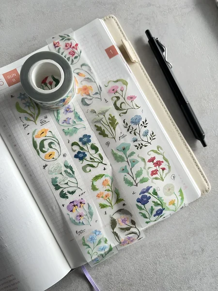 PET tape Wayfarer's Journal, OURS Studio