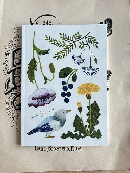 grid notebook Midori Asano A5, Cozyca