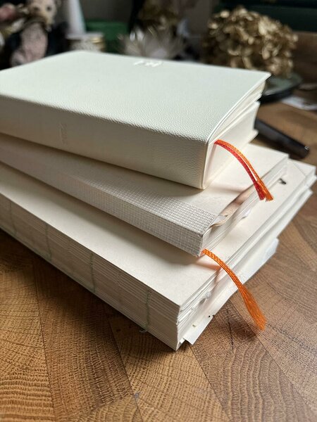 2024. aasta märkmikud ja planeerijad: esimesed muljed 