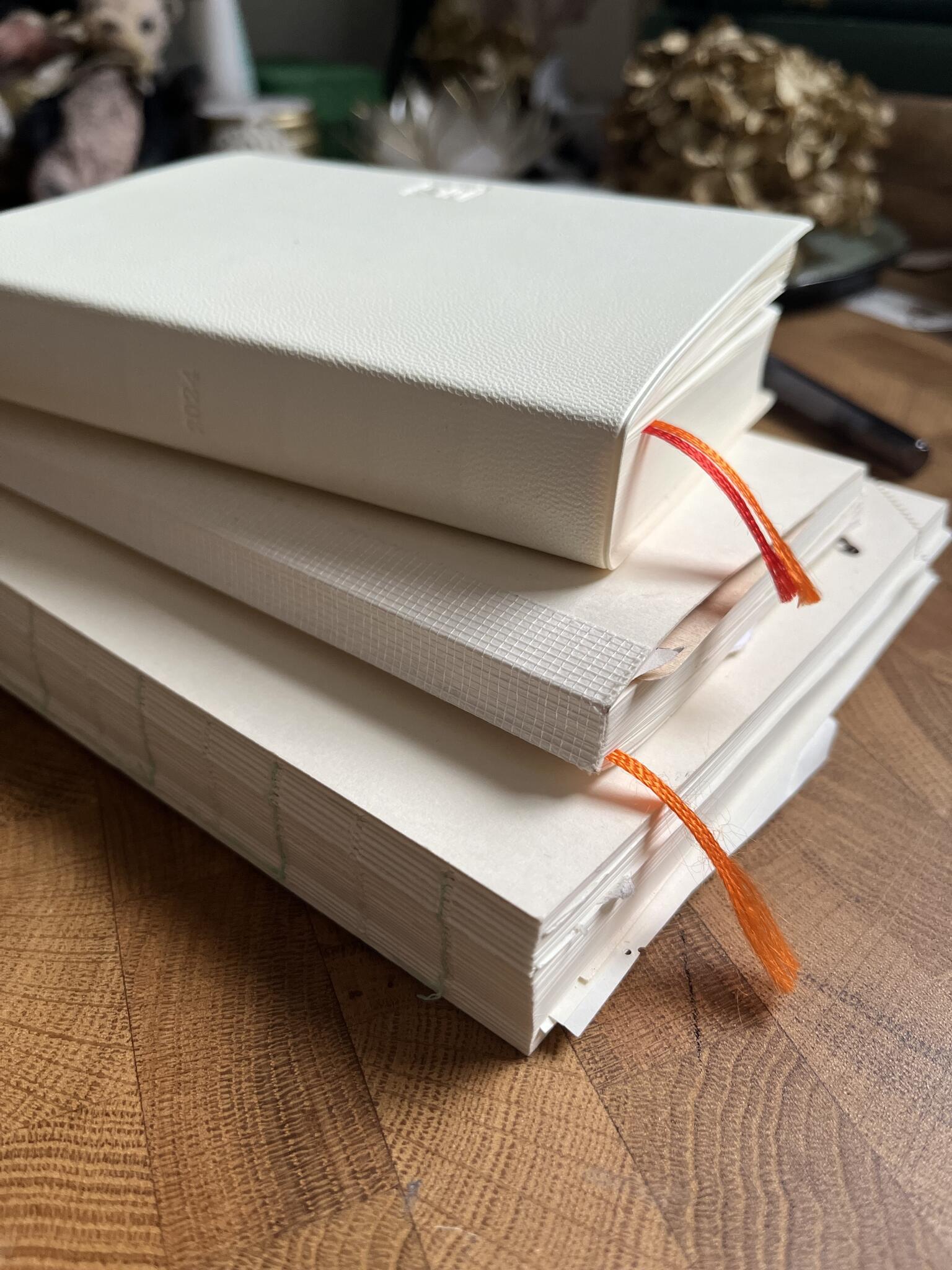 2024. aasta märkmikud ja planeerijad: esimesed muljed 