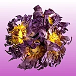 80c0349f 12fe 428e b74f 0808c83c2adb