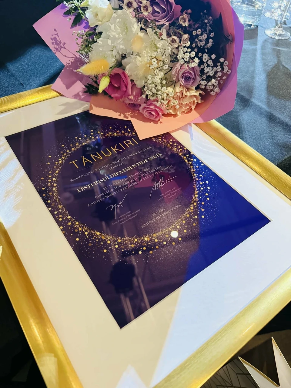 Eesti Insuldipatsientide Selts pälvis tunnustuse 