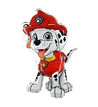 Shape gr paw patrol marshall