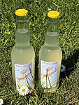 Img 7163