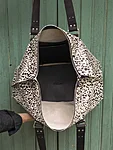 Dotted admiral stella