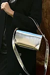 Silver nordic chameleon