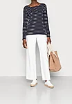 Stripe1