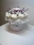 Img 3688