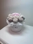 Img 3690