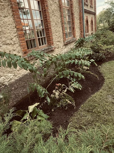 Istutusala lõigatud peenraservaga