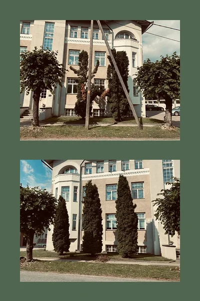 Elupuude sidumine tekkinud talvekahjustuste tagajärjel