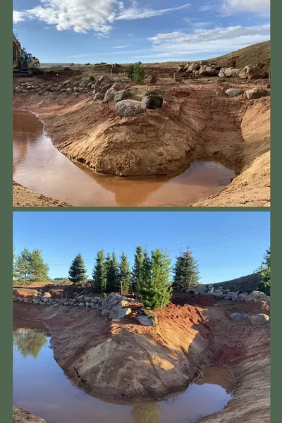 Okaspuude - musta ja valge kuuse(5m) istutus nõlvale