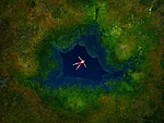 Estonian bogs - wild swimming