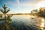 Wild swimming Meenikunno Bog