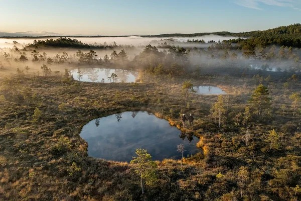 Estonia nature beauty lakes