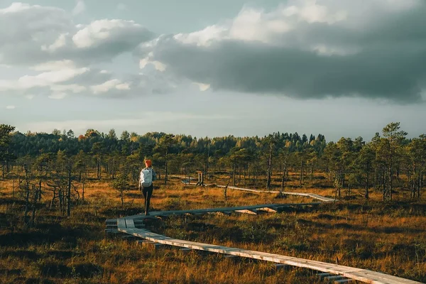 Estonian bog