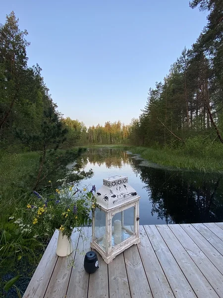wild swimming 
