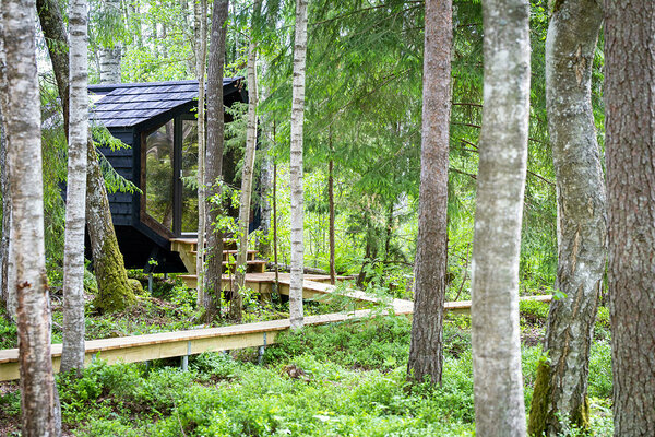 Wild swimming retreat - nature boutique nature cabins 
