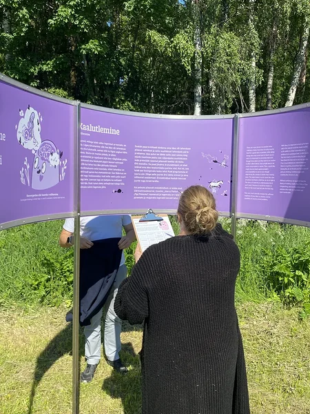 Meeskonnamäng loovusrajal