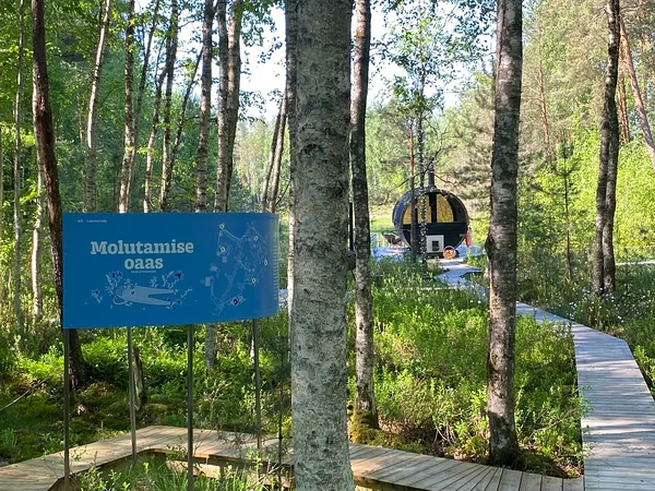 Meeskonnamäng loovusrajal
