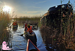 Canoeing Emajõe Suursoo