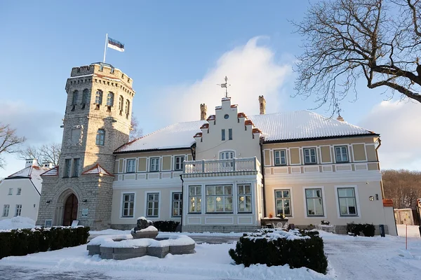 Maarjamäe castle and winter