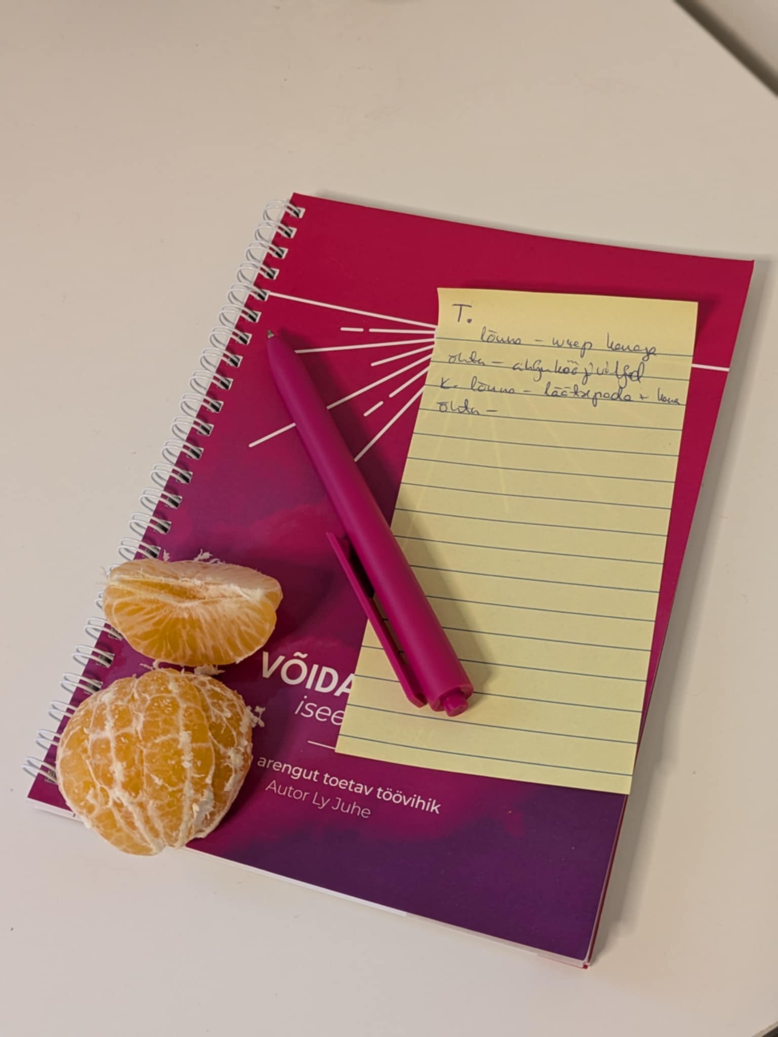 Töövihik kasutuses