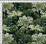 Img 20260730 wa0000