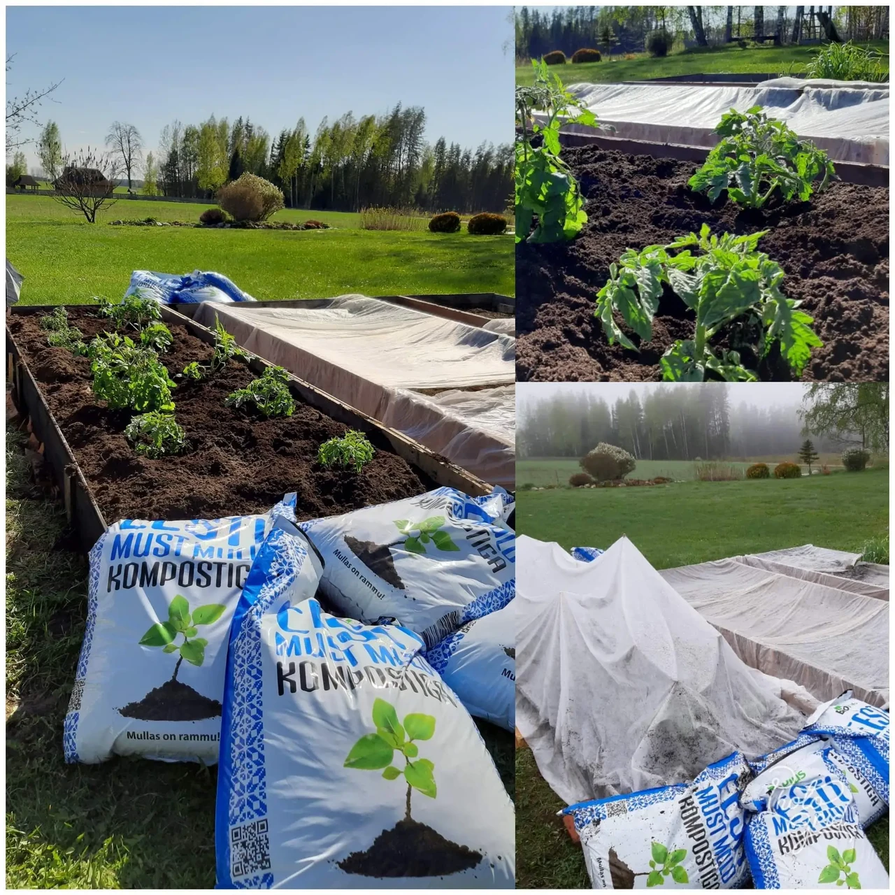 Kompost kui looduslik mulla väetaja