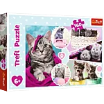 15371txs 15371t 1 puzzle 160 kittens 1