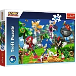 15421txs 15421t 1 tr puzzle 160 sonic 1