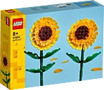 40524 box1 v29