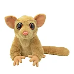 61312kp 1 5600991983501