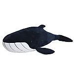 61326kp 1 wild planet k8719 aan blue whale kadjk20220811161737 1