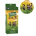 65261kp pintura com diamantes cao e gato 550x550h 2