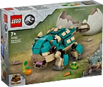 76962 box1 v29